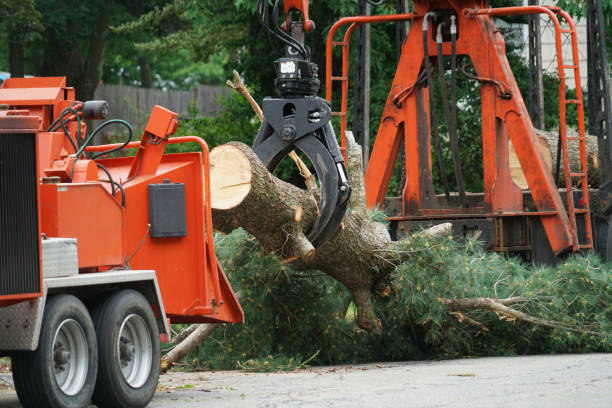 Mulching Services in Nescopeck, PA